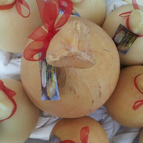 agricolasungron's profile picture. produzione di formaggi e casizolu Biologico