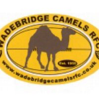 wadebridge(@camelsRFC) 's Twitter Profile Photo