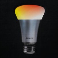 Loves lights!
