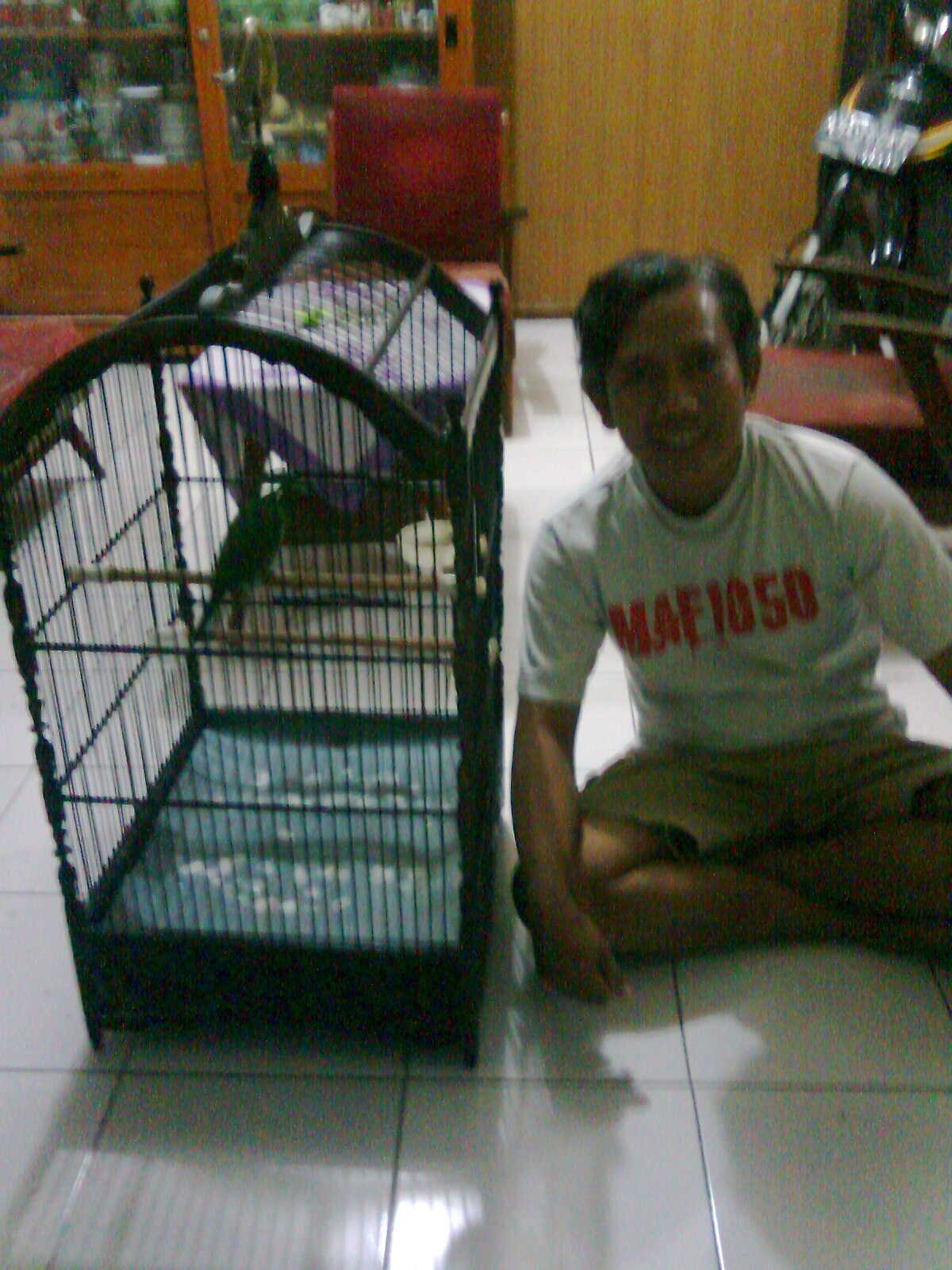 sunuwoto's profile picture. 