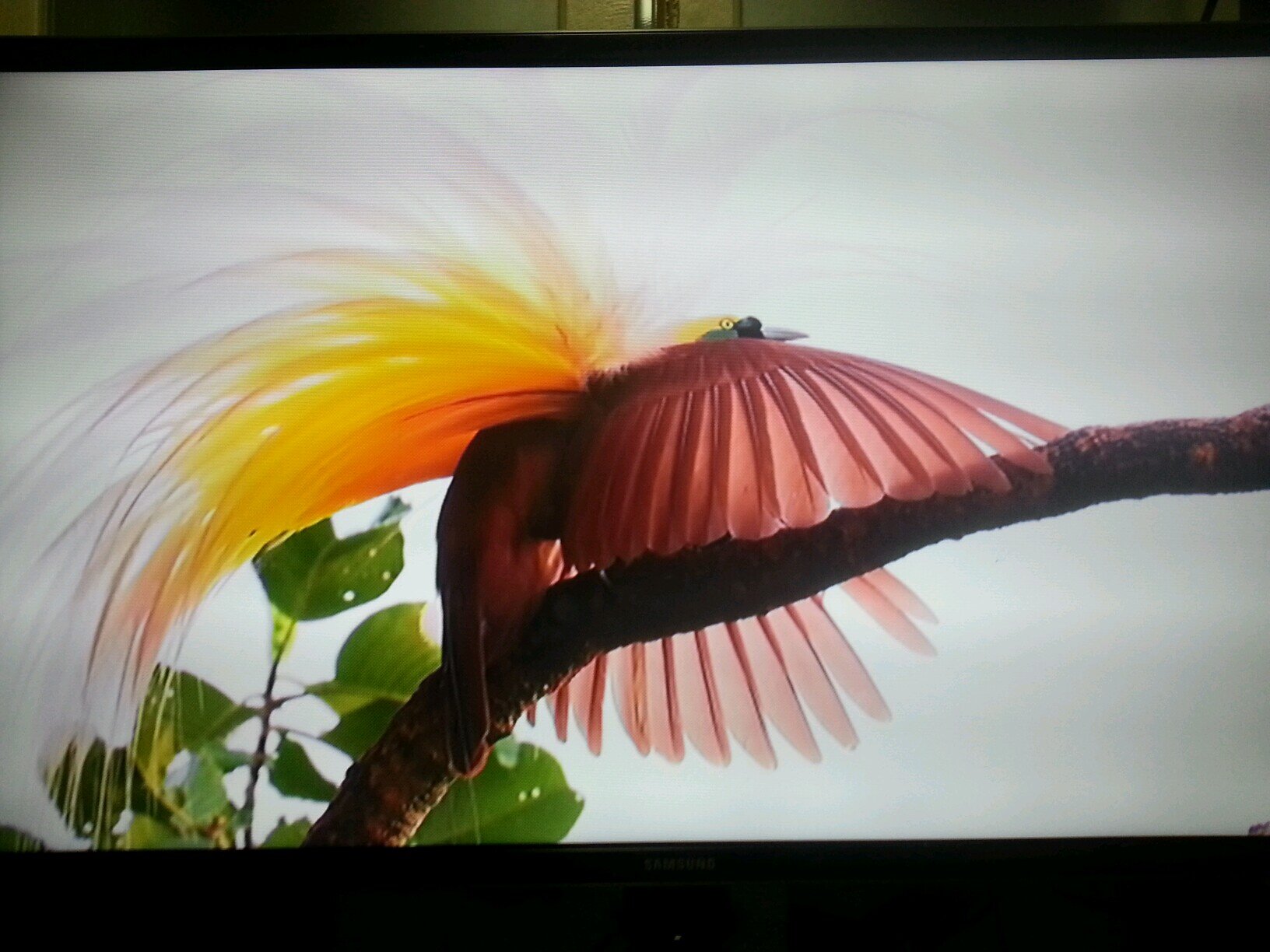 ska77742's profile picture. 