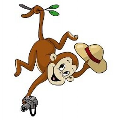 Cheeky Monkey Safari Cms Safaris Twitter