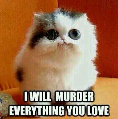 Well?