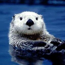 水族館画像集 Aquarium Suki Twitter