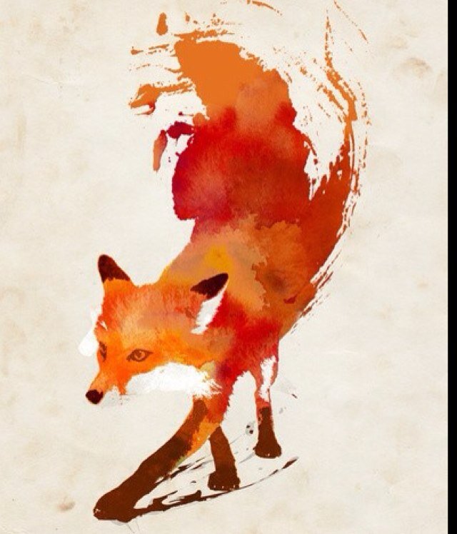 MokkertjeAnne Profile Picture