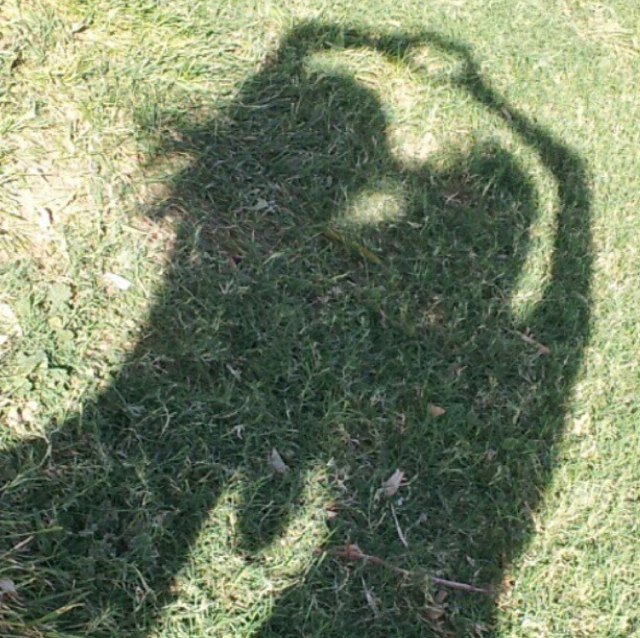 Jessica_b158's profile picture. Karma is a bitch, but then again so am i. ✌️