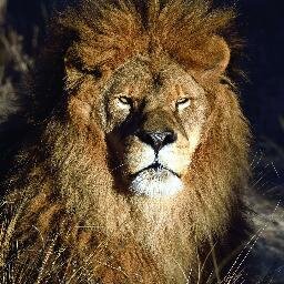 Photographer Of Wildlife and Landscapes.
