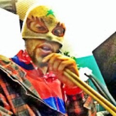 Musician (violin an drums), Human, entertainer,