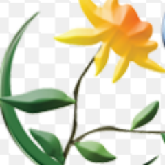 Landscape_Lawn's profile picture. Olympic Lawn & Landscape, INC.
Whether your #landscape project is #commercial or #residential, we will provide a quality outcome.  Call (816) 875-9296.