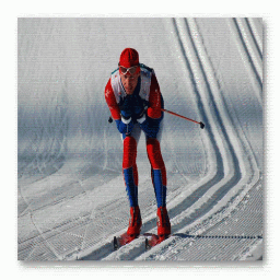 totallynordic's profile picture. 