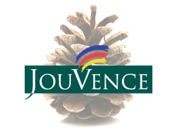 Jouvence est un Centre de Villégiature de 193 acres situé en bordure du lac Stukely, dans le parc national du Mont-Orford. Numéro d'établissement 076300