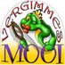 Vergimmes Mooi (@vergimmesmooi) Twitter profile photo