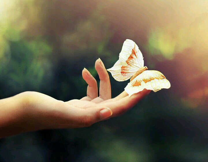 ‏‏‏عند إشراقة شمس كل يوم .يولد أمل جديد..♡فديت مكة ♡