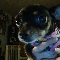 New acct. Old face. Wife/Mom of 4. 1 dog named Daisy. Into Role Playing.