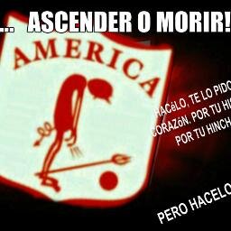 Brs desde la cuna asta el cajon