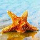 *★...STAR...★* (@0987654u) Twitter