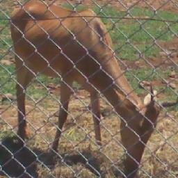 LaObservador's profile picture. Observing what we largely ignore