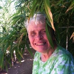 I'm a teacher, biz owner & author of Dance of Victory at www.amazon.com, ISBN; 978-0-9842703-5-4. I'm not defined by cerebral palsy. http://danceofvictory.com
