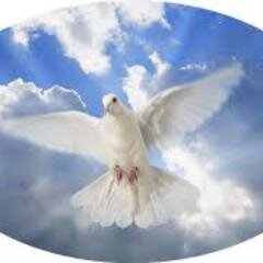 DivneDvlpmnt's profile picture. Advocating for the Pursuit of Purpose through God's Holy Spirit