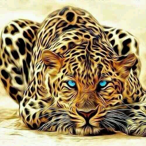 anmolanmol1988's profile picture. 