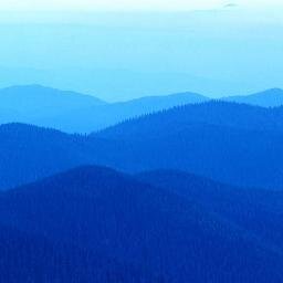 egit_5's profile picture. 