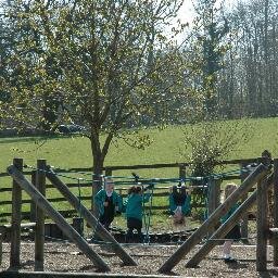 Through our Christian values and ethos, we provide a welcoming environment in which everyone is cherished and challenged to fulfil their potential.