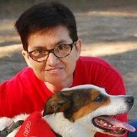 Silvia Roca (@sipiro) 's Twitter Profile