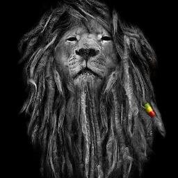 Dynaldosantos's profile picture. 