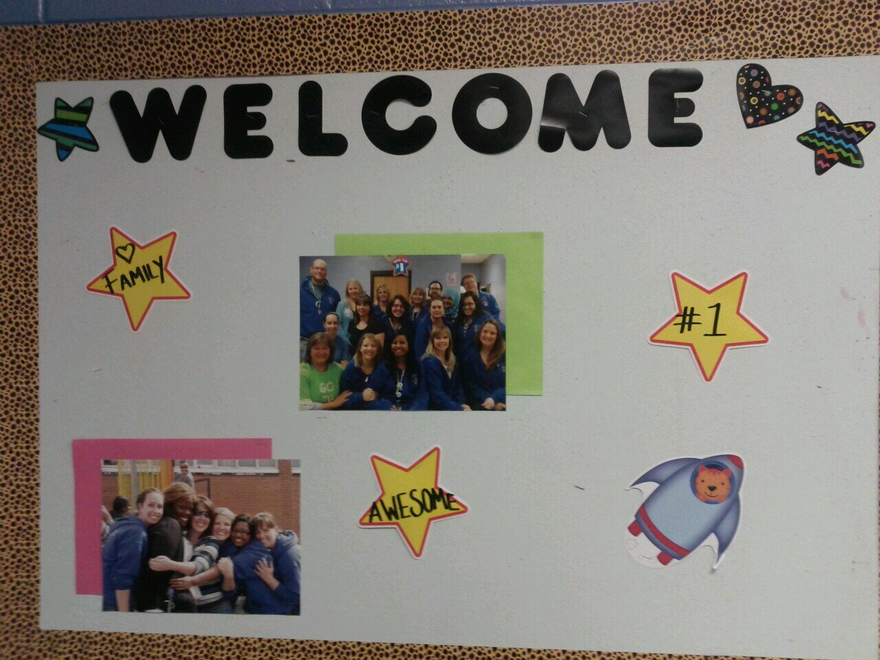 This page is designed to petiton TFSS to keep Ms.D as a member of staff and as a teacher.
