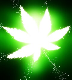 MarijuanaPA2014's profile picture. Account for https://t.co/ixuDWtcm76 Hoping to spread the word about PA #legalization #Vote #JohnHanger #2014 #mmot #weed #pot #smoker #medicalmarijuana
