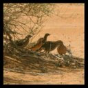 عبدالله ابن سريع (@0536992103) Twitter