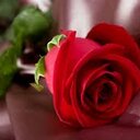 yunus yesilo (@58Yesilo) Twitter