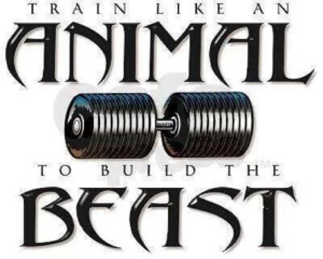 WolfdudeCA's profile picture. 