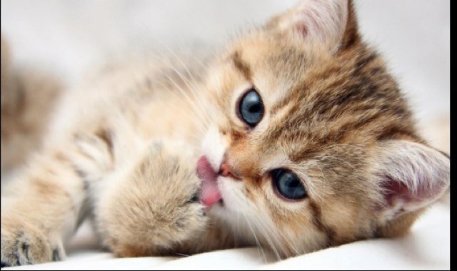 salina0220's profile picture. 