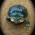 Grande Cache Library (@gcmunilibrary) Twitter profile photo