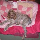 John Charnock - @JohnCharnock2 - Twitter