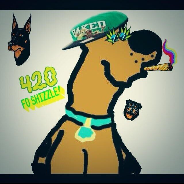 I iz teh coowlest doge in teh wurld, i luv solvin misterys and shet
