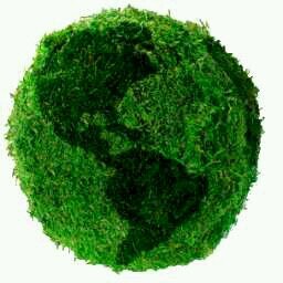 A Planet Green é uma empresa focada em soluções ecológicas para uma melhor qualidade de vida, não só dos seus clientes mas também  da sociedade como um todo.