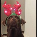 katie rutter - @kpjo39 - Twitter