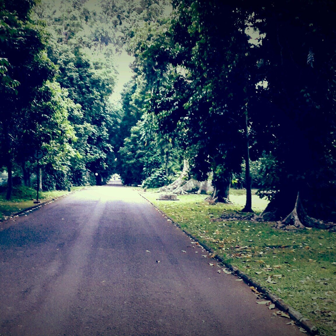 Wasom_Cullen's profile picture. 