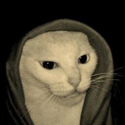 Me segue.. Sou legalzinho c: (Só que um pouco zoeiro hue)