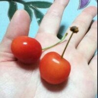 みりん@♨ (@fukamirin) 's Twitter Profile Photo みりん@♨ (@fukamirin) 's Twitter Profile Photo