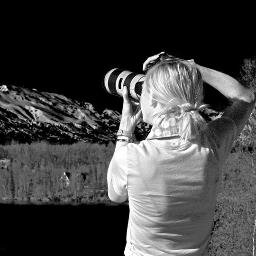 Wallflower1333's profile picture. "I never fall apart because I never fall together" -- Andy Warhol