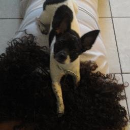 wandita169's profile picture. amar a mis 2 hermosos hijos Aniel y Thaís y a mi esposo José. ¡Ah! y también a mi amada Manchita.