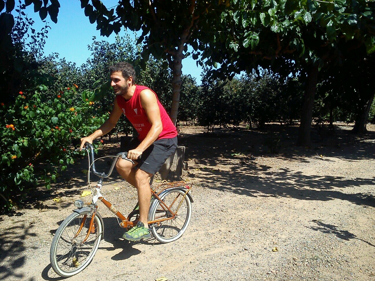 faig moltes coses i segurament cap de bé, però gaudeixo de la vida. profe, verd i esport per resumir