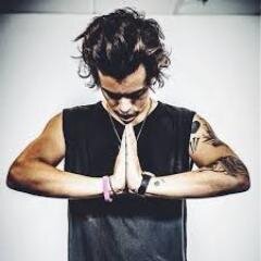 -Obviamente fans de One Direction, mejor dicho no fans io soy Directioner de corazon (Styorpaylikson)