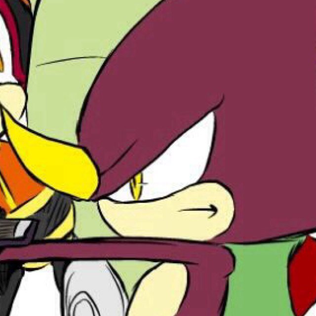 Evil doesn't stand a chance against me. [ Canon / #TeamChaotix ]