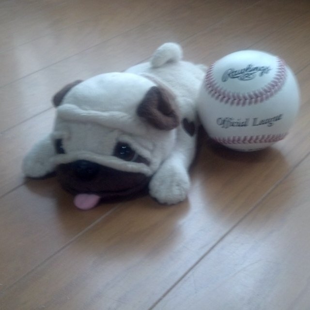 ShotPut1574's profile picture. 