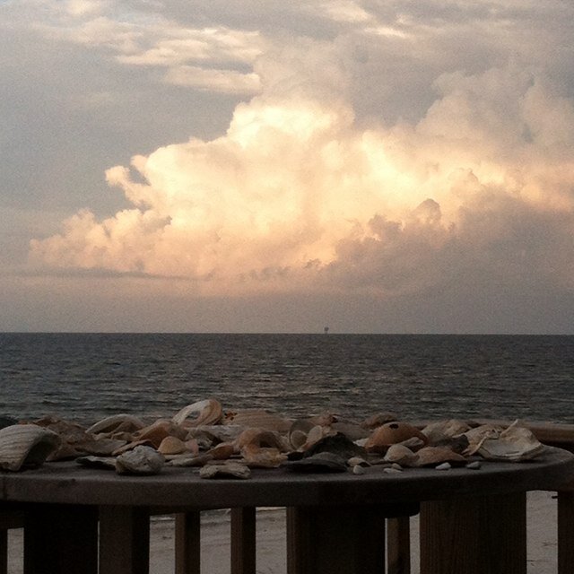 huskerdorothy's profile picture. 