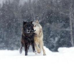 andrews_manuel's profile picture. ARTISAN